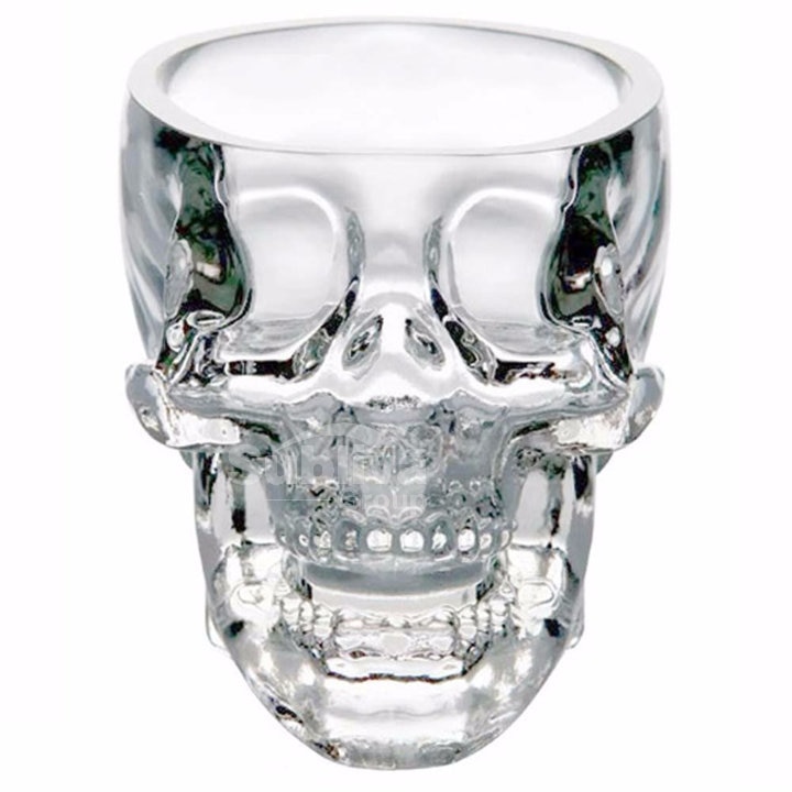 Skull Glass Transparent Skull Head Glass