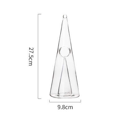 Wine Decanter Elegant Glass Pourer