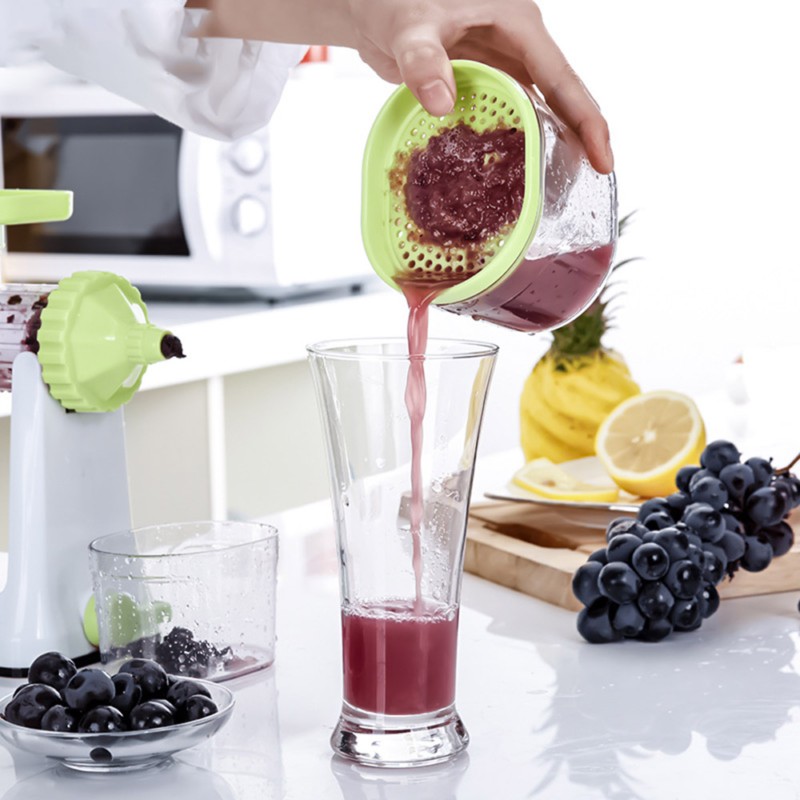 Multi Functional Manual Fruit Press / Crusher