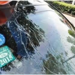 Rain Repellent-Windshield Glass Treatment