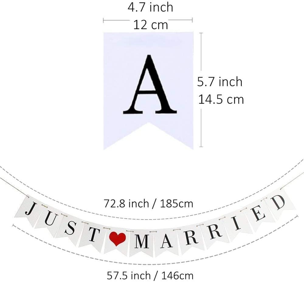 Just Married Banner for Car Wedding Decor